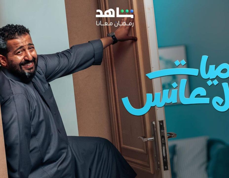 مسلسل يوميات رجل عانس الحلقة 17 السابعة عشرة